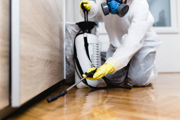 Best Pest Control for Businesses  in Ben Bolt, TX
