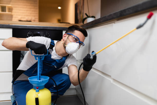 Best Pest Control for Homes  in Ben Bolt, TX
