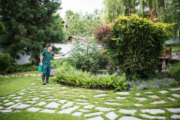 Best Best Pest Control Companies  in Ben Bolt, TX